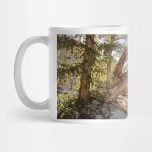 850_6887 Mug